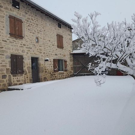 Gite De Charme Avec Jardin Et Wifi A Chalmazel-Jeansagniere - Fr-1-496-249 Exterior foto