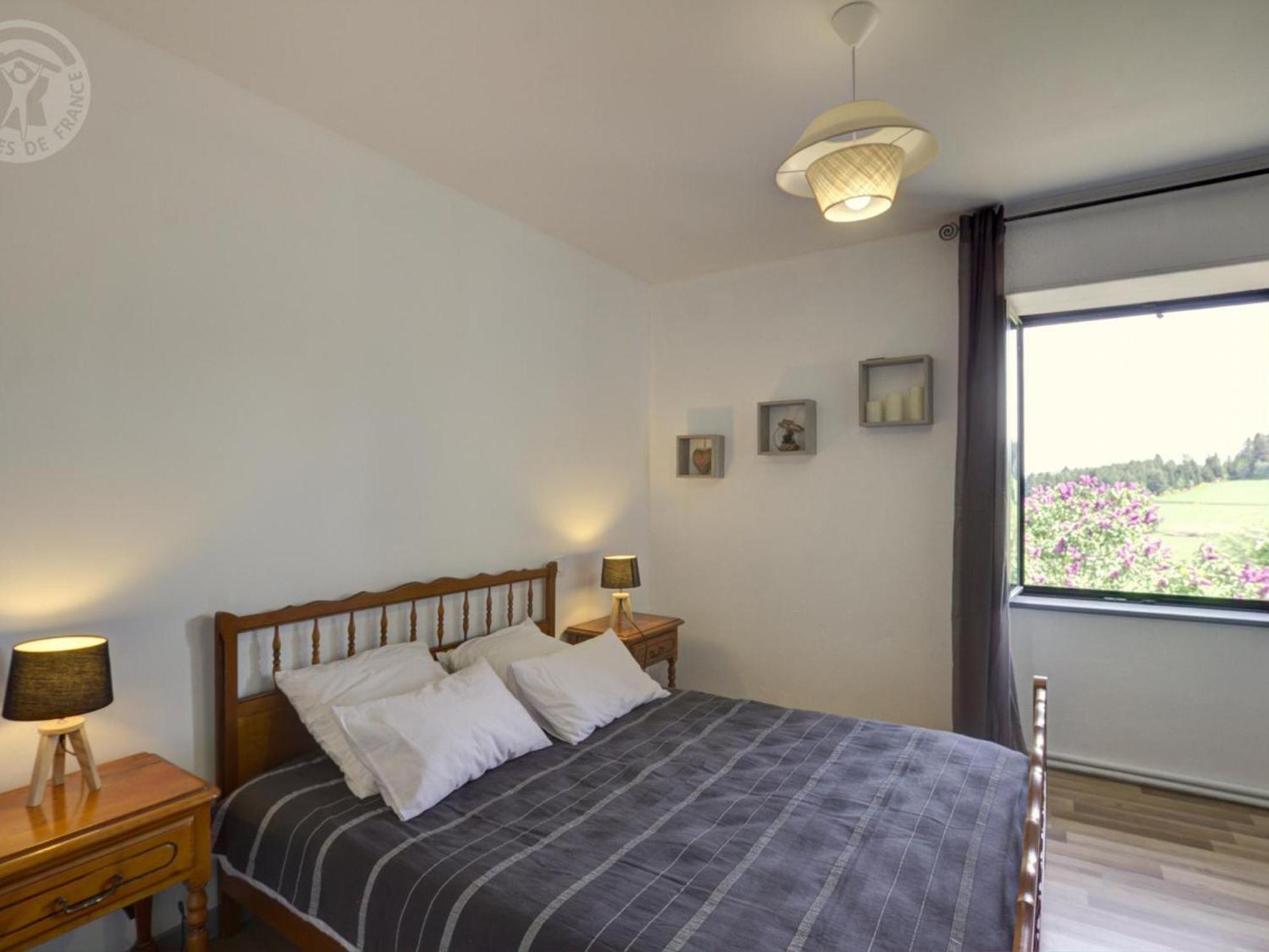 Gite De Charme Avec Jardin Et Wifi A Chalmazel-Jeansagniere - Fr-1-496-249 Exterior foto