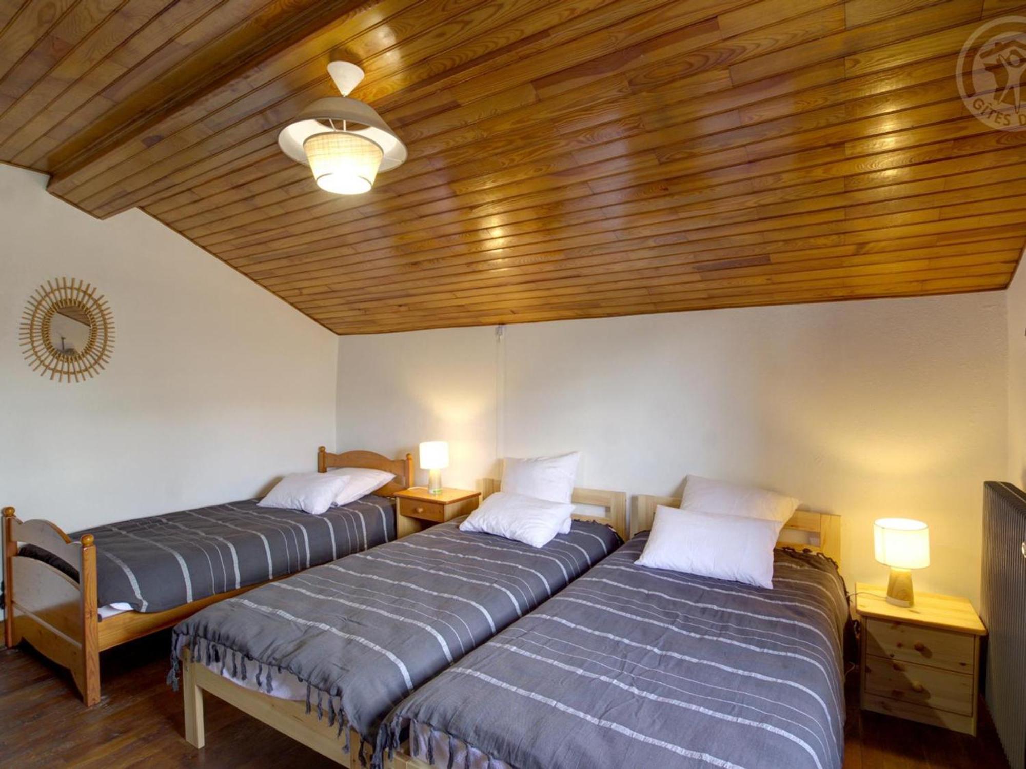 Gite De Charme Avec Jardin Et Wifi A Chalmazel-Jeansagniere - Fr-1-496-249 Exterior foto